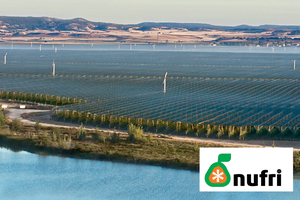 2 Cajas de 18 uds. variedades ENVY y FUJI. Peso aprox. 9 kg