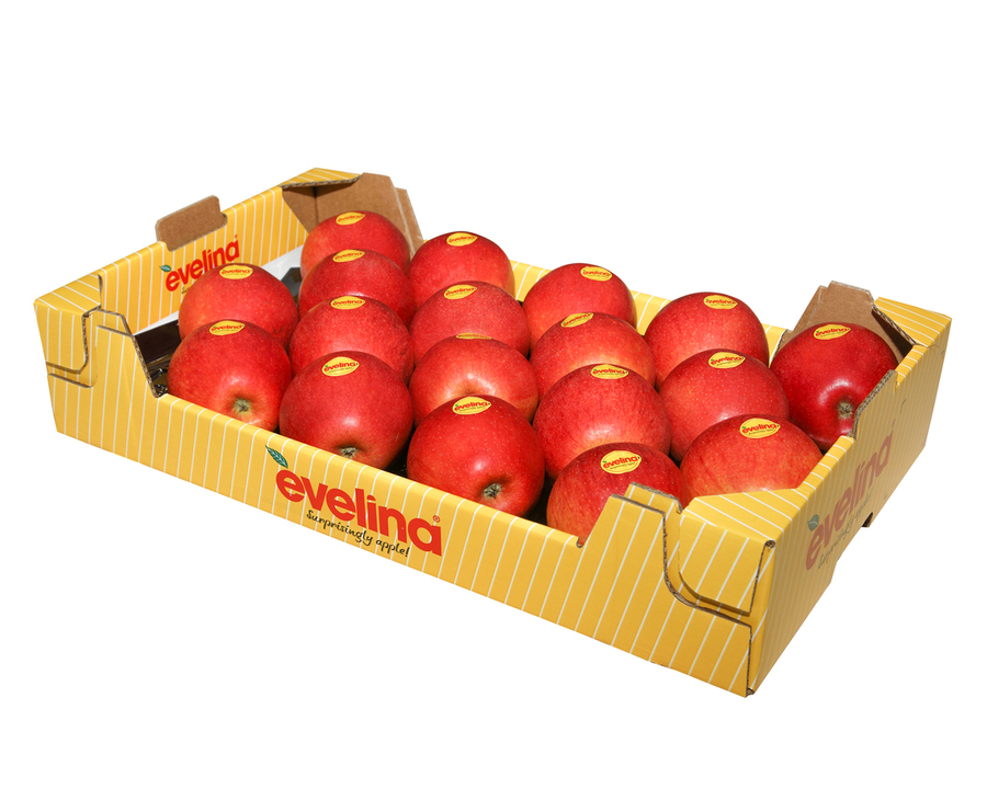 Caja de manzanas 18 uds. Variedad EVELINA de Soria 4,5Kg aprox.