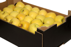 Caja de Manzana Golden Delicius pequeña dulce 7 kg