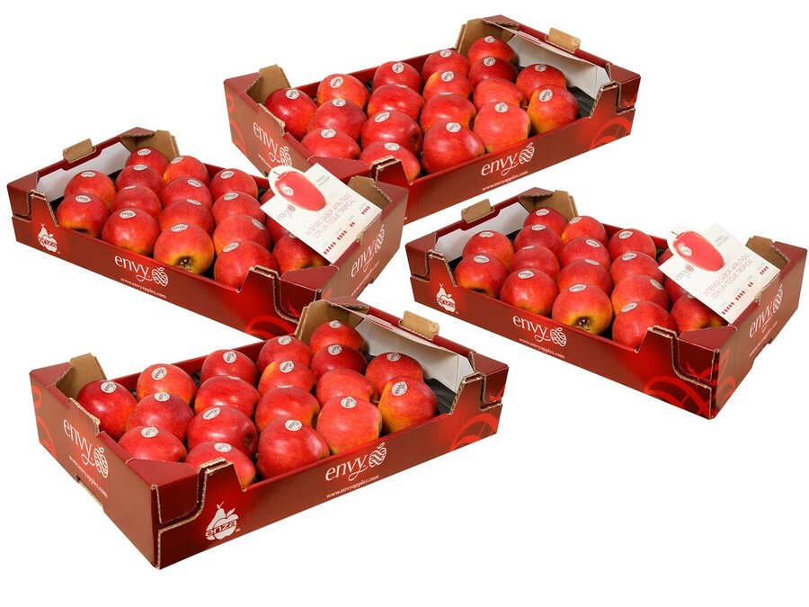 4 Cajas de Manzanas DE 18 UNIDADES Variedad ENVY de Soria 18 Kg aprox.