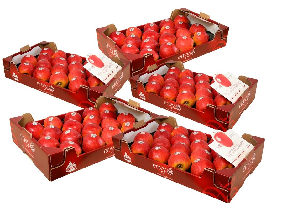 5 Cajas de Manzanas DE 18 UNIDADES Variedad ENVY de Soria 22.5 Kg aprox